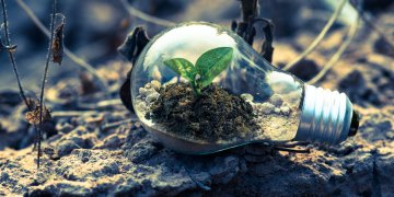 Investir responsable : la Greentech Appréciée des Investisseurs